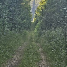 Robert Greenier - International Appalachian Trail - Maine Section (ME)