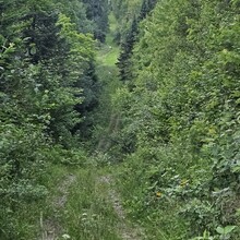 Robert Greenier - International Appalachian Trail - Maine Section (ME)