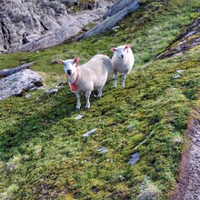 Arild Bendiksen - Stölsheimen + Bergsdalen