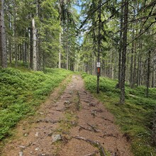 Thomas Fransson - Skifsenleden @ Fredriksberg Dalarna (Sweden)