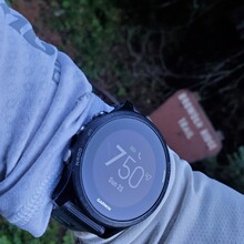 Cary Stephens - Echo Browder Loop