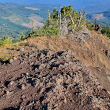 Cary Stephens - Echo Browder Loop