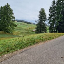 Jens Van Vaerenbergh - Alpe di Siusi / Seiser Alm: Panorama Trail (Italy)