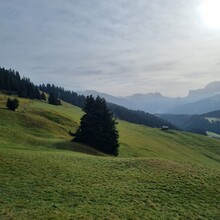 Jens Van Vaerenbergh - Alpe di Siusi / Seiser Alm: Panorama Trail (Italy)