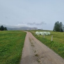 Jens Van Vaerenbergh - Alpe di Siusi / Seiser Alm: Panorama Trail (Italy)