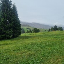 Jens Van Vaerenbergh - Alpe di Siusi / Seiser Alm: Panorama Trail (Italy)