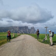 Jens Van Vaerenbergh - Alpe di Siusi / Seiser Alm: Panorama Trail (Italy)