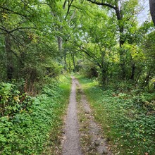 Erin Shaw - Driftless Round - Decorah (IA)