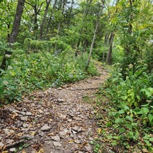 Erin Shaw - Driftless Round - Decorah (IA)