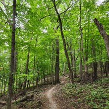 Erin Shaw - Driftless Round - Decorah (IA)