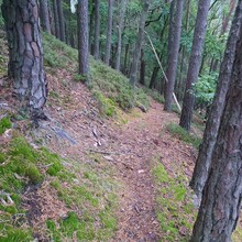 Joas Meyer_Arens - Panoramaweg Schwarzatal (Panoramic Trail Schwarza Valley)