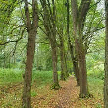 Joas Meyer_Arens - Panoramaweg Schwarzatal (Panoramic Trail Schwarza Valley)