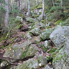 Philip Bernier, Mirella Brouillard - Mount Sagamook Trail (NB, Canada)