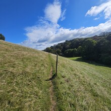 Mark Crowe - John Musgrave Heritage Trail (United Kingdom)