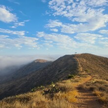 Aubri Drake - Trans-Catalina Trail (CA)