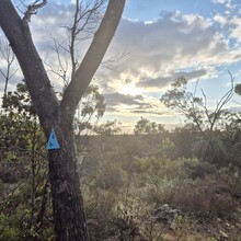 Willie Richards - Coastal Plain Trail