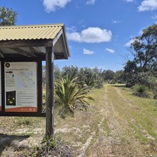 Willie Richards - Coastal Plain Trail