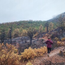 Georgia Porter - Arizona Trail (AZ)