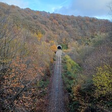 Frank Scheyltjens - Trails Godinne Red trail (Belgium)