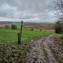 Frank Scheyltjens - Trails Godinne Red trail (Belgium)