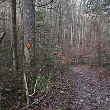 Kevin McLendon - Redbird Crest Trail (KY)