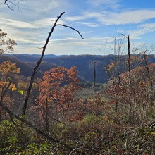 Kevin McLendon - Redbird Crest Trail (KY)