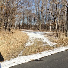 Robert Santoro - Crow-Hassan Park Reserve Outer Loop Trail (MN)