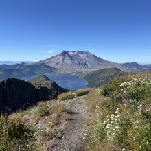 Michael Searing - Mount Margaret Loop (WA)