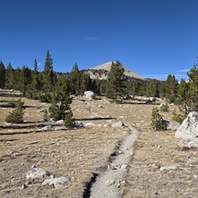 Robert Santoro, Stephen Santoro - Trans Sierra via Mt. Whitney