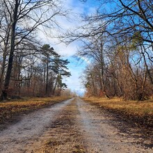 Geert van Nispen - GR®703 Jeanne d'Arc historic path - From Toul (Meurthe-et-Moselle) to Bagneux-la-Fosse (Aube) (France)