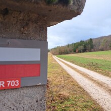 Geert van Nispen - GR®703 Jeanne d'Arc historic path - From Toul (Meurthe-et-Moselle) to Bagneux-la-Fosse (Aube) (France)