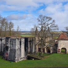 Geert van Nispen - GR®703 Jeanne d'Arc historic path - From Toul (Meurthe-et-Moselle) to Bagneux-la-Fosse (Aube) (France)