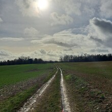 Geert van Nispen - GR®703 Jeanne d'Arc historic path - From Toul (Meurthe-et-Moselle) to Bagneux-la-Fosse (Aube) (France)