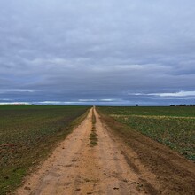 Geert van Nispen - GR®703 Jeanne d'Arc historic path - From Toul (Meurthe-et-Moselle) to Bagneux-la-Fosse (Aube) (France)