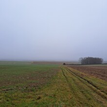 Geert van Nispen - GR®703 Jeanne d'Arc historic path - From Toul (Meurthe-et-Moselle) to Bagneux-la-Fosse (Aube) (France)