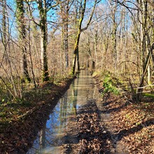 Geert van Nispen - GR®703 Jeanne d'Arc historic path - From Toul (Meurthe-et-Moselle) to Bagneux-la-Fosse (Aube) (France)