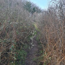 Alun George - North Wales Path