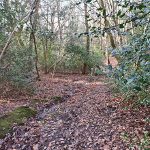 Alun George - North Wales Path