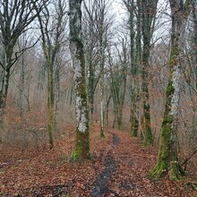 Geert van Nispen - GR®703 Jeanne d'Arc historic path - From Toul (Meurthe-et-Moselle) to Bagneux-la-Fosse (Aube) (France)