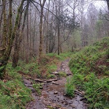 Geert van Nispen - Santiago de Compostela; Compostela del Norte (Spain)