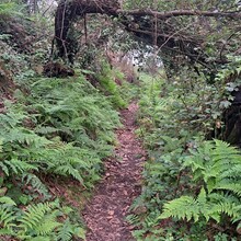 Geert van Nispen - Santiago de Compostela; Compostela del Norte (Spain)