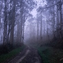Geert van Nispen - Santiago de Compostela; Compostela del Norte (Spain)