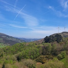 Geert van Nispen - Santiago de Compostela; Compostela del Norte (Spain)