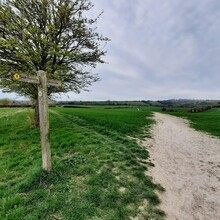 Matt Girvan - South Downs Way (United Kingdom)