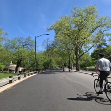 Jase Kuusisto - Central Park - Lower Loop (Park open to close) (NY)