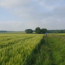 Constantin Kozlow - GR de Pays des Yvelines (France)