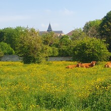 Constantin Kozlow - GR de Pays des Yvelines (France)
