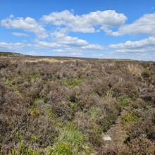 Alun George - Cambrian Way (United Kingdom)