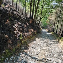 Alun George - Cambrian Way (United Kingdom)