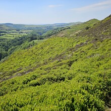 Alun George - Cambrian Way (United Kingdom)